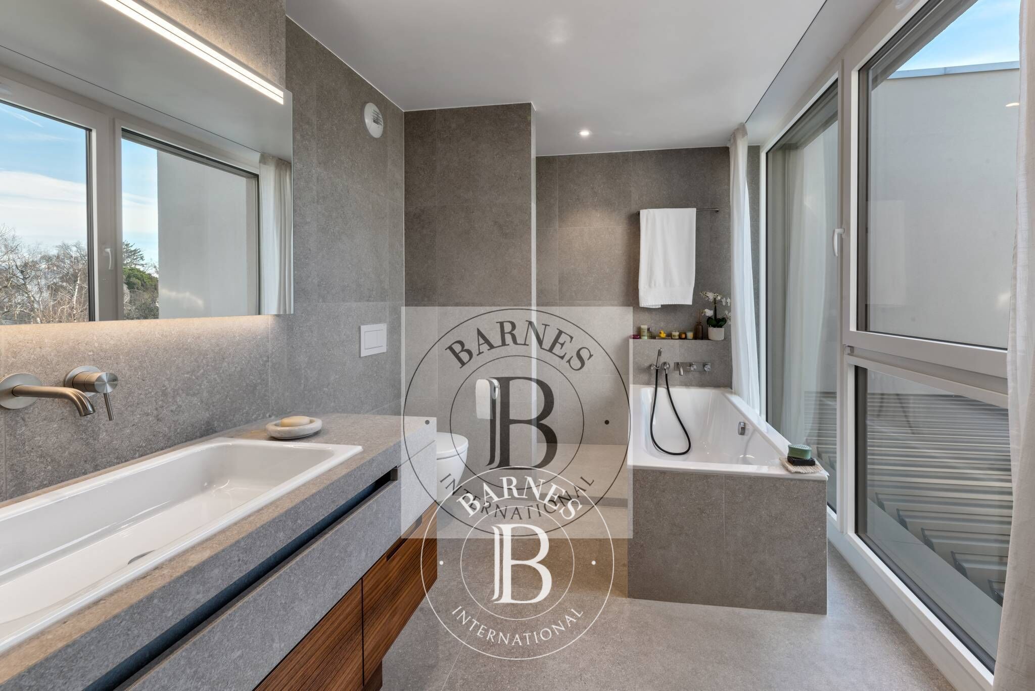 Yarı müstakil ev Vésenaz - picture 27