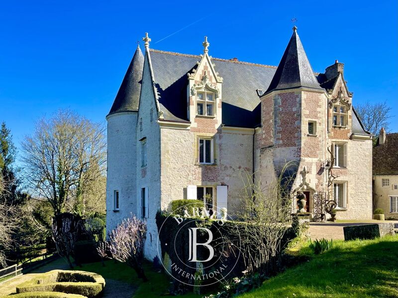 Zu verkaufen Schloß | Amboise - picture 1