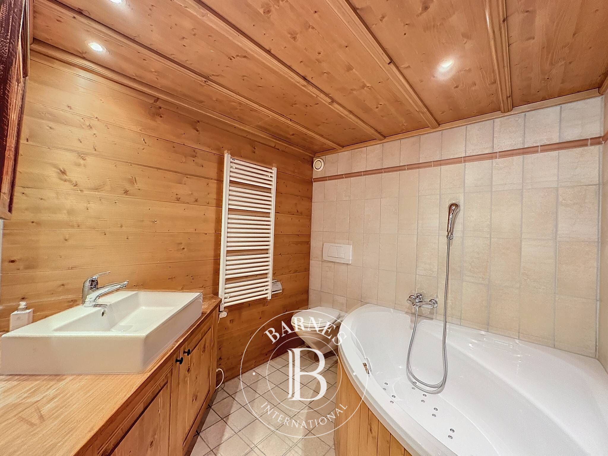 Cati kati Verbier - picture 6