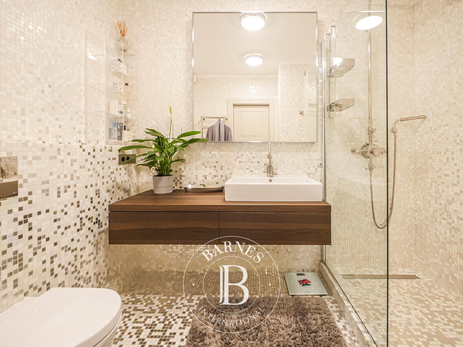 Daire Monaco - picture 9