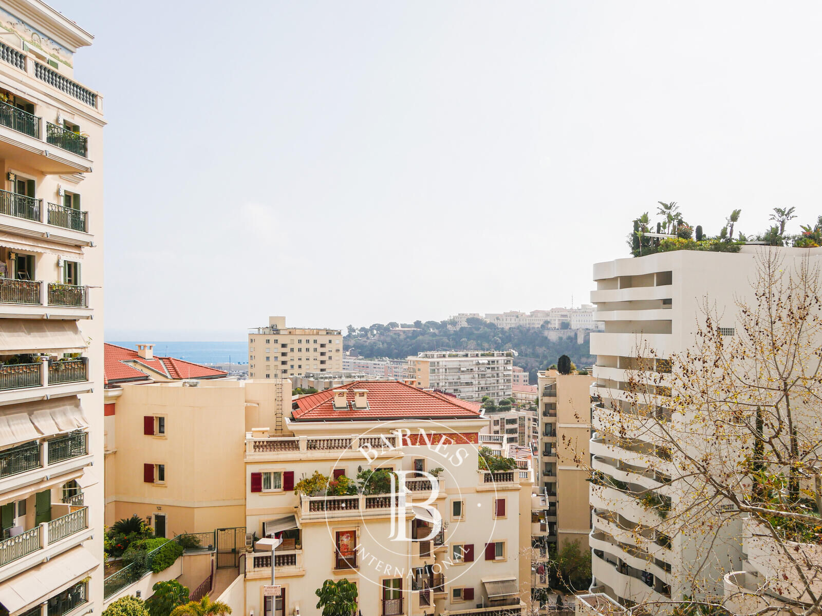 Daire Monaco - picture 5