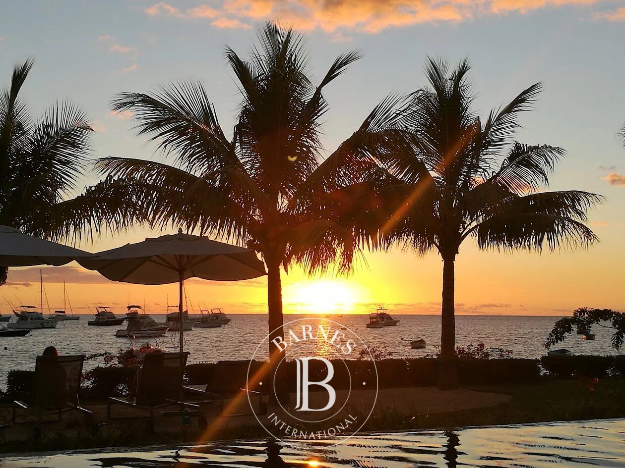 Penthouse Rivière Noire - picture 11