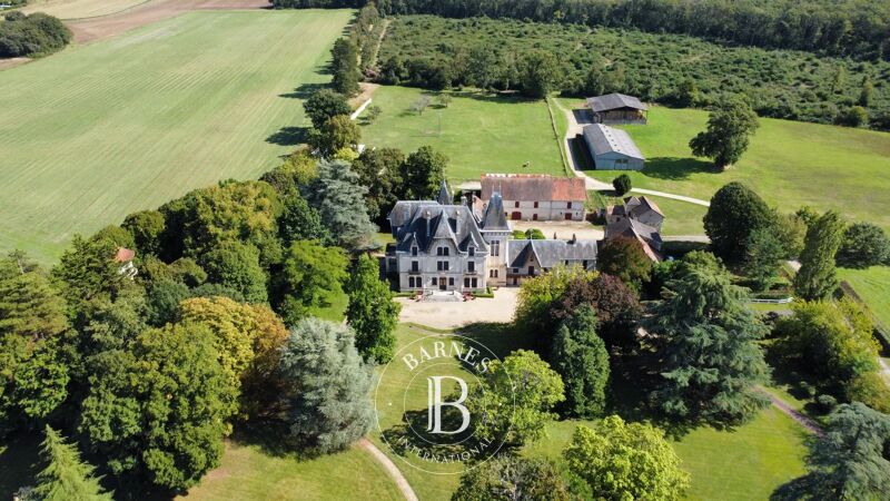 À vendre Château | Châtellerault - picture 1