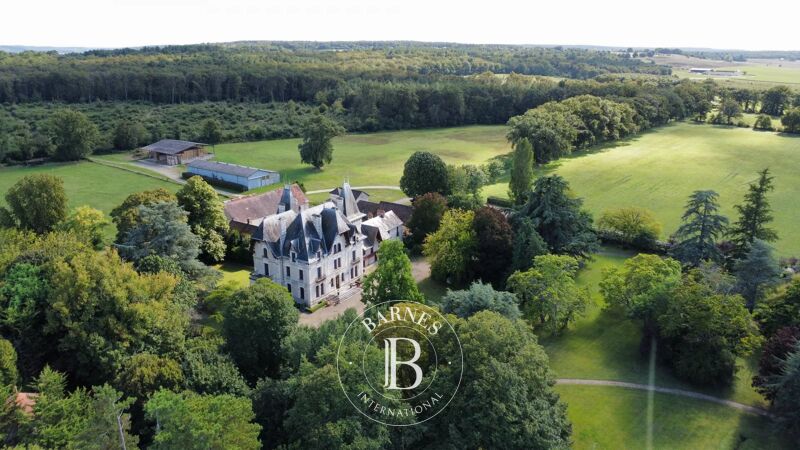 For Sale, Castle Cenon-sur-Vienne - picture 3