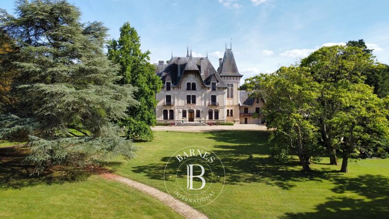 For Sale, Castle Cenon-sur-Vienne - picture 2