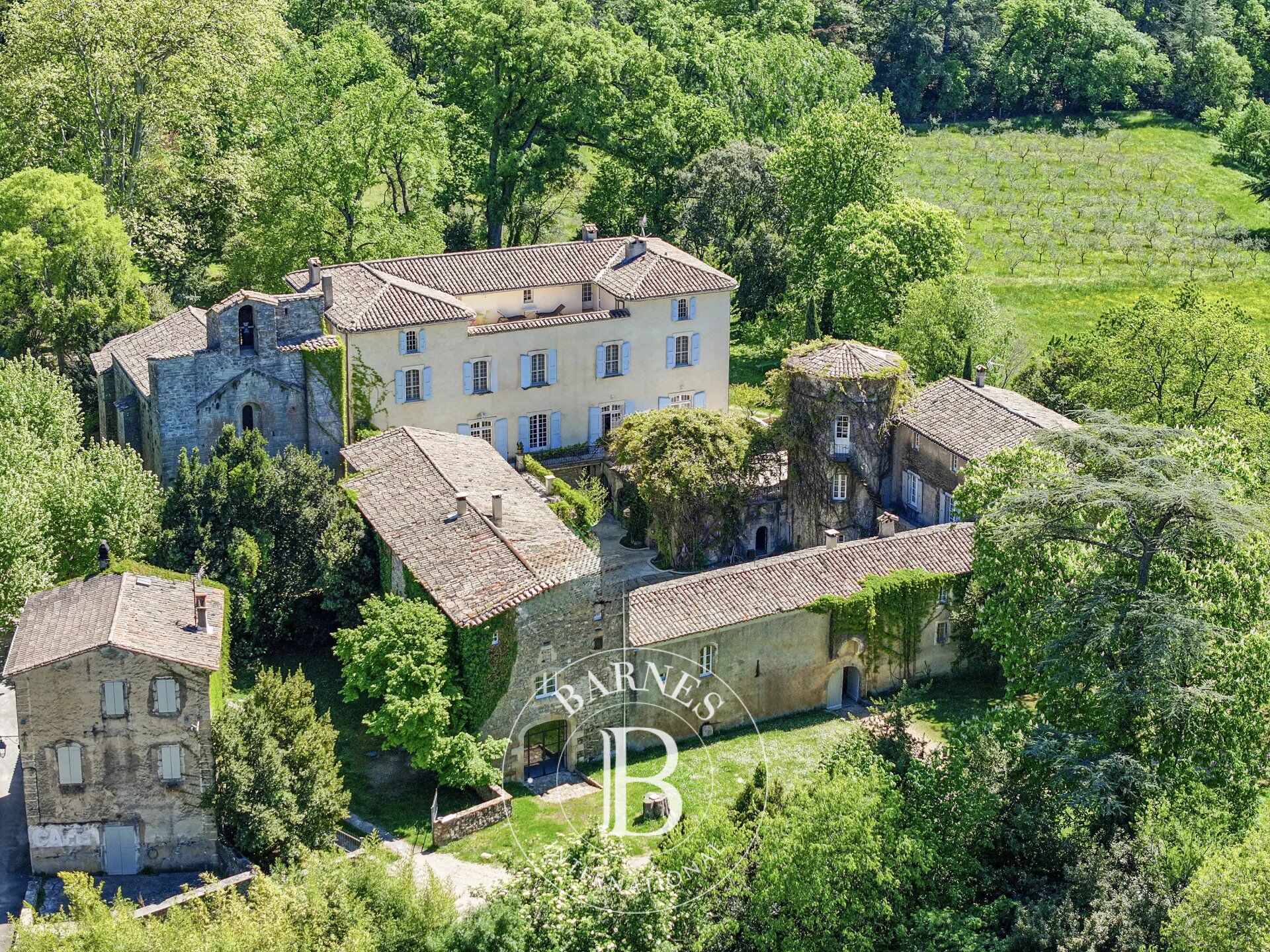 Castillo Saint-Félix-de-Pallières - picture 2