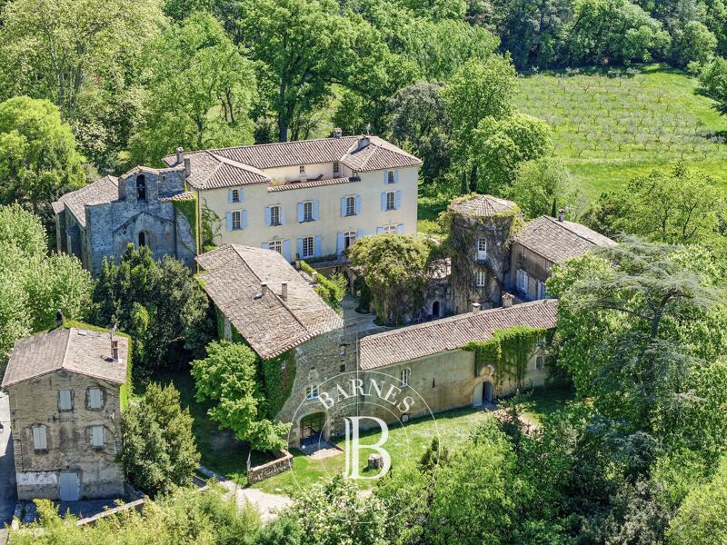 Venta, Castillo Saint-Félix-de-Pallières - picture 2