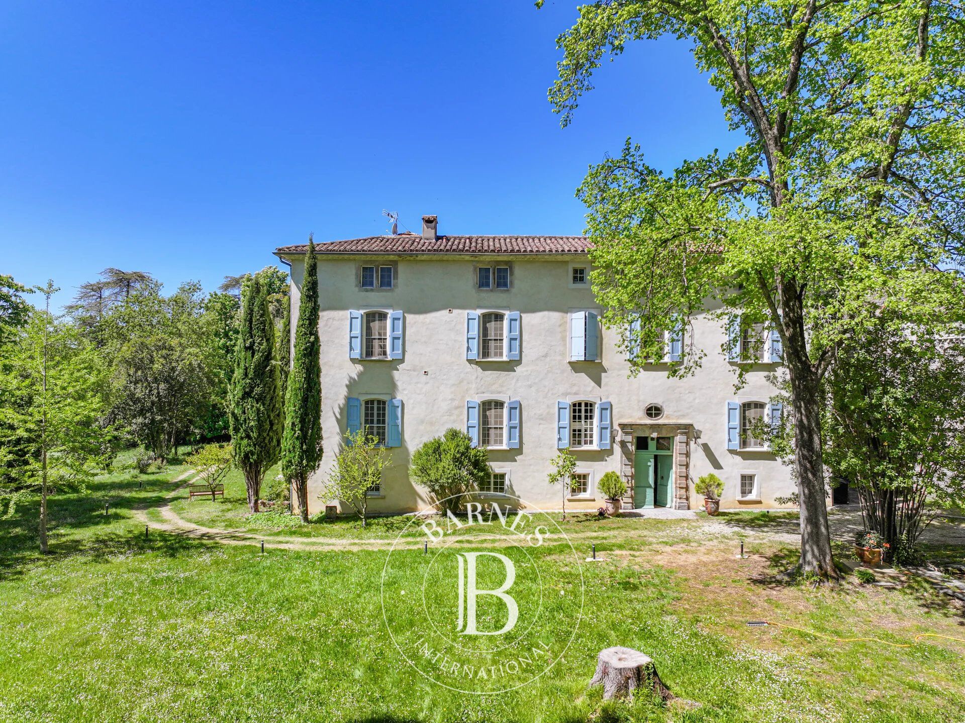 Castillo Saint-Félix-de-Pallières - picture 1