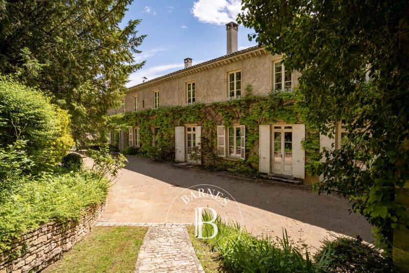 Zu verkaufen, Schloß Montmerle-sur-Saône - picture 2