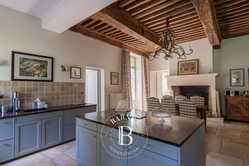 Zu verkaufen, Schloß Montmerle-sur-Saône - picture 3