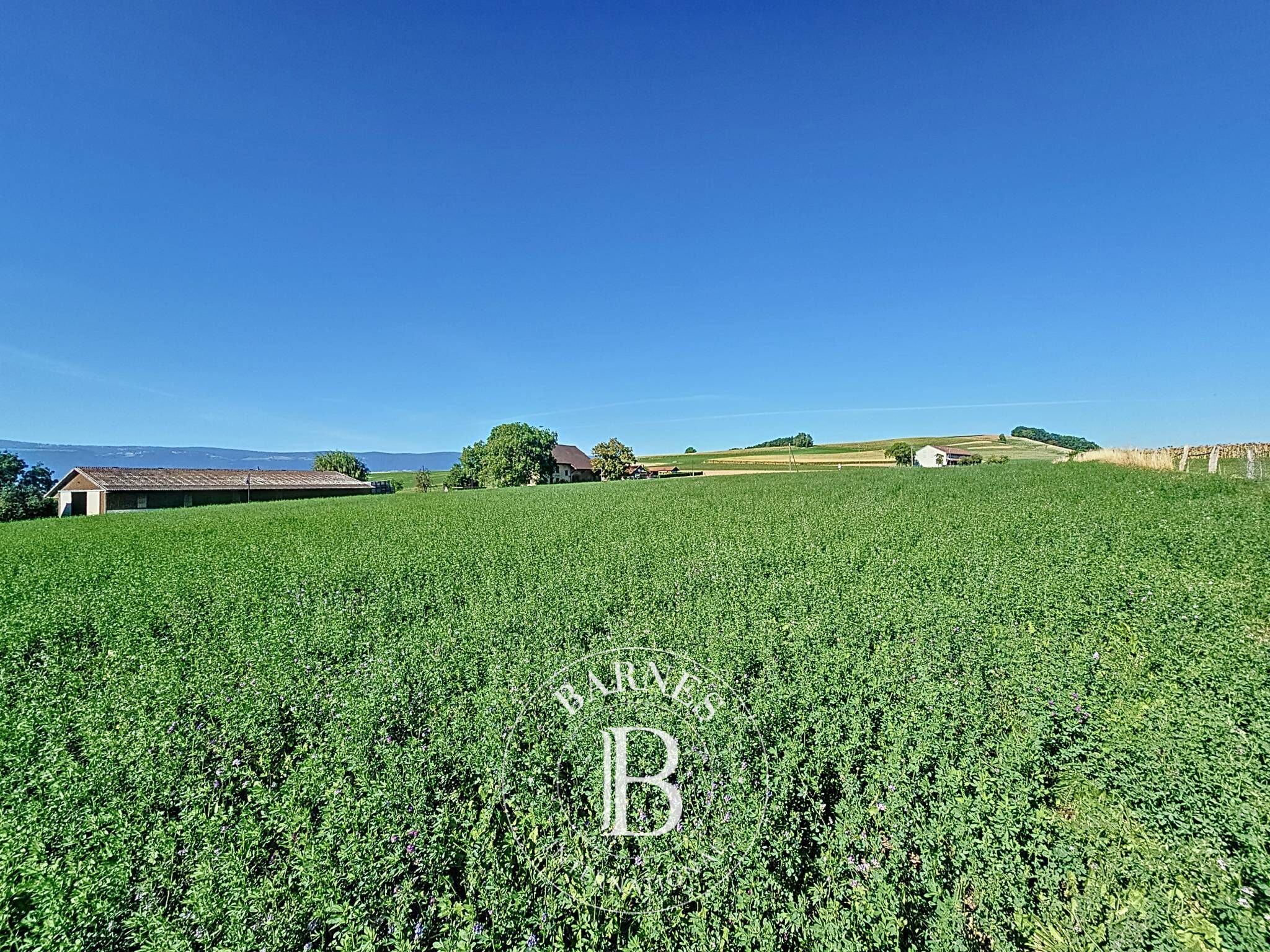 Bauland Pomy - picture 3