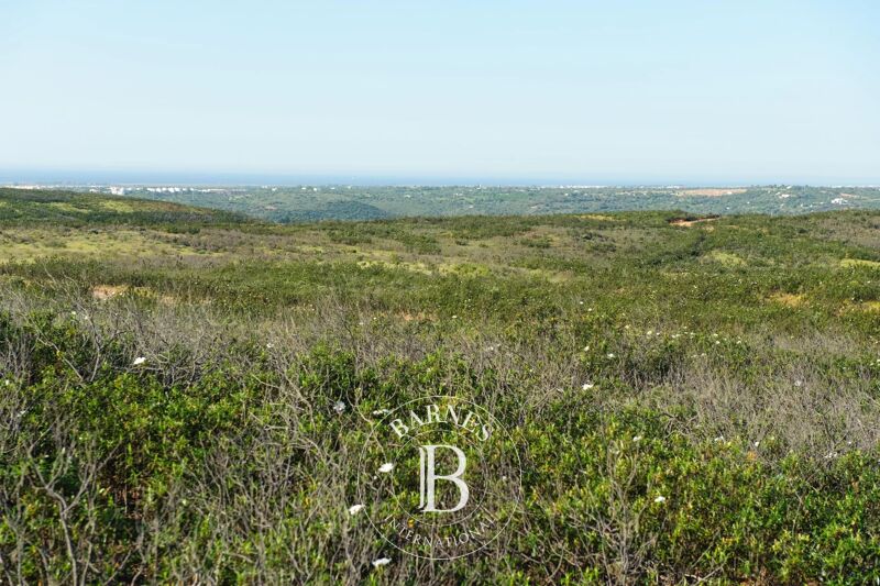 For Sale Plot of land | Tavira - picture 2