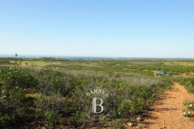 For Sale Plot of land | Tavira - picture 1