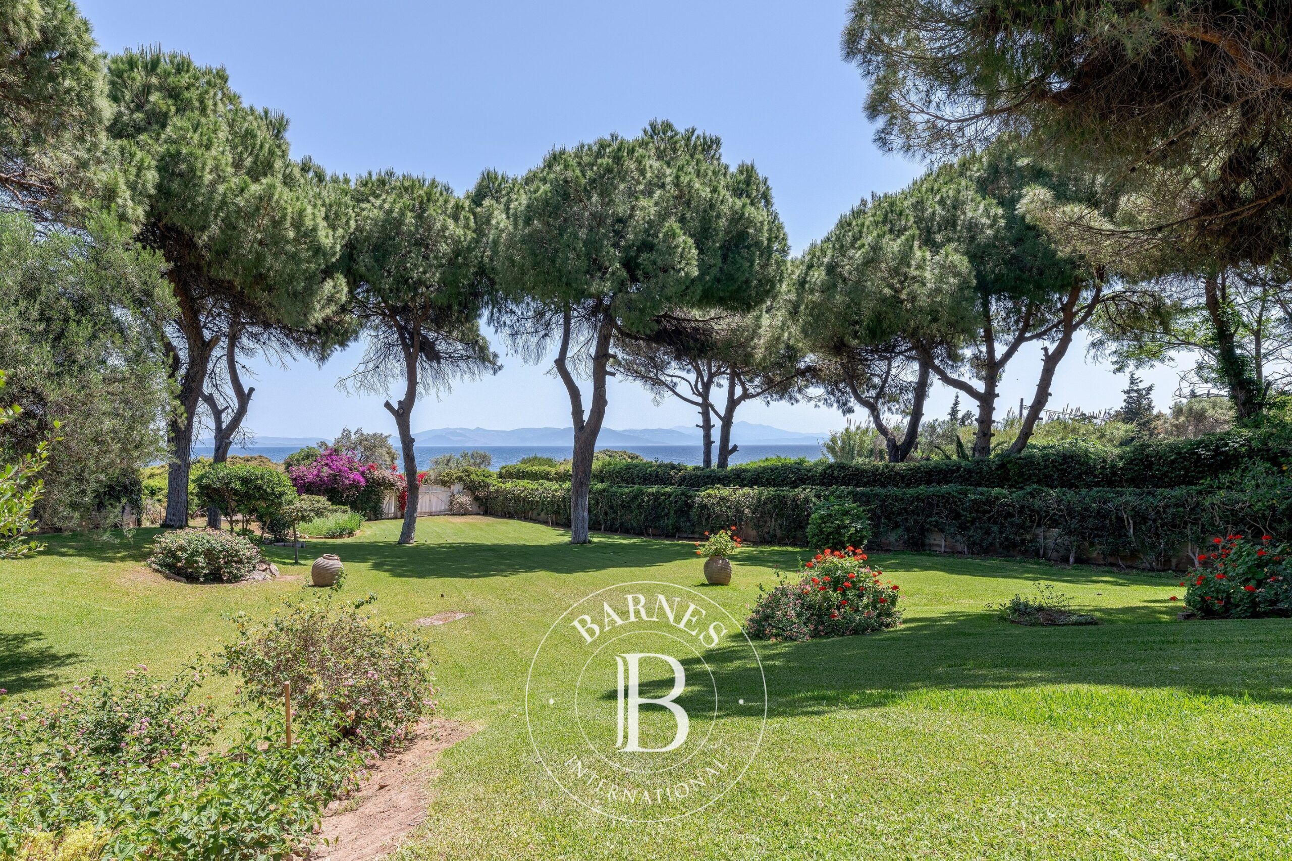 Ev Nea Makri - picture 12