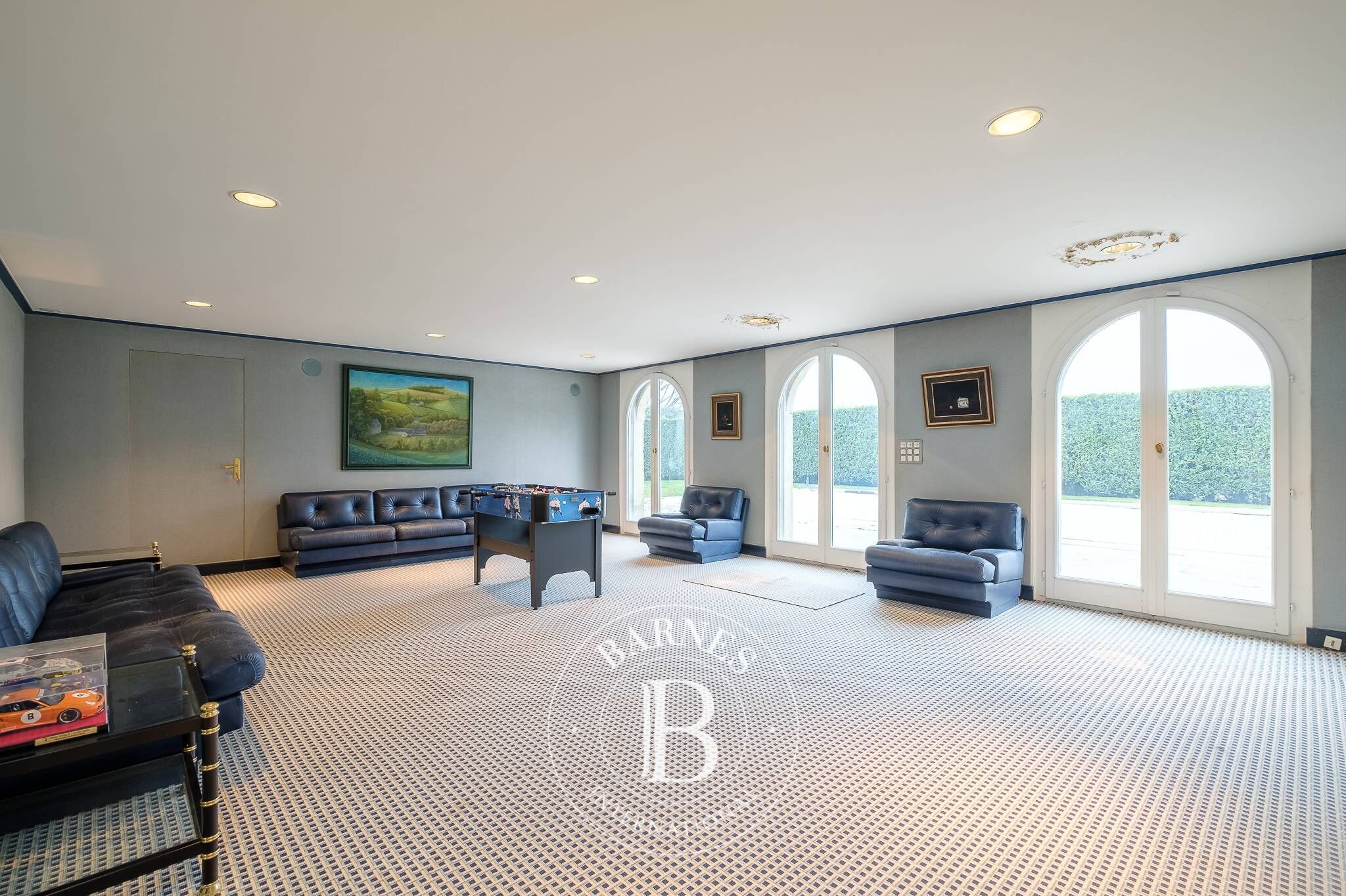 Villa Cologny - picture 15