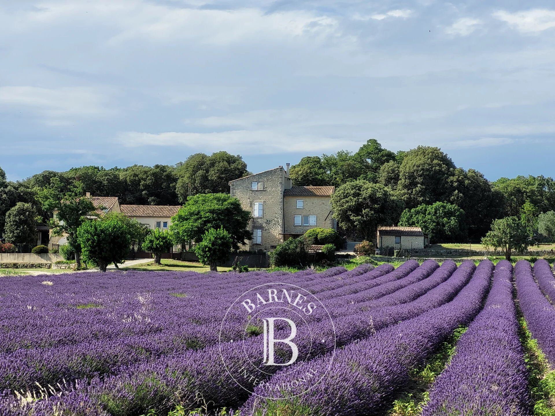 Exclusivité Barnes - Propriété de 16 hectares - Environ 700m2 de bâti - Très belle vue Mont Ventoux - picture 1