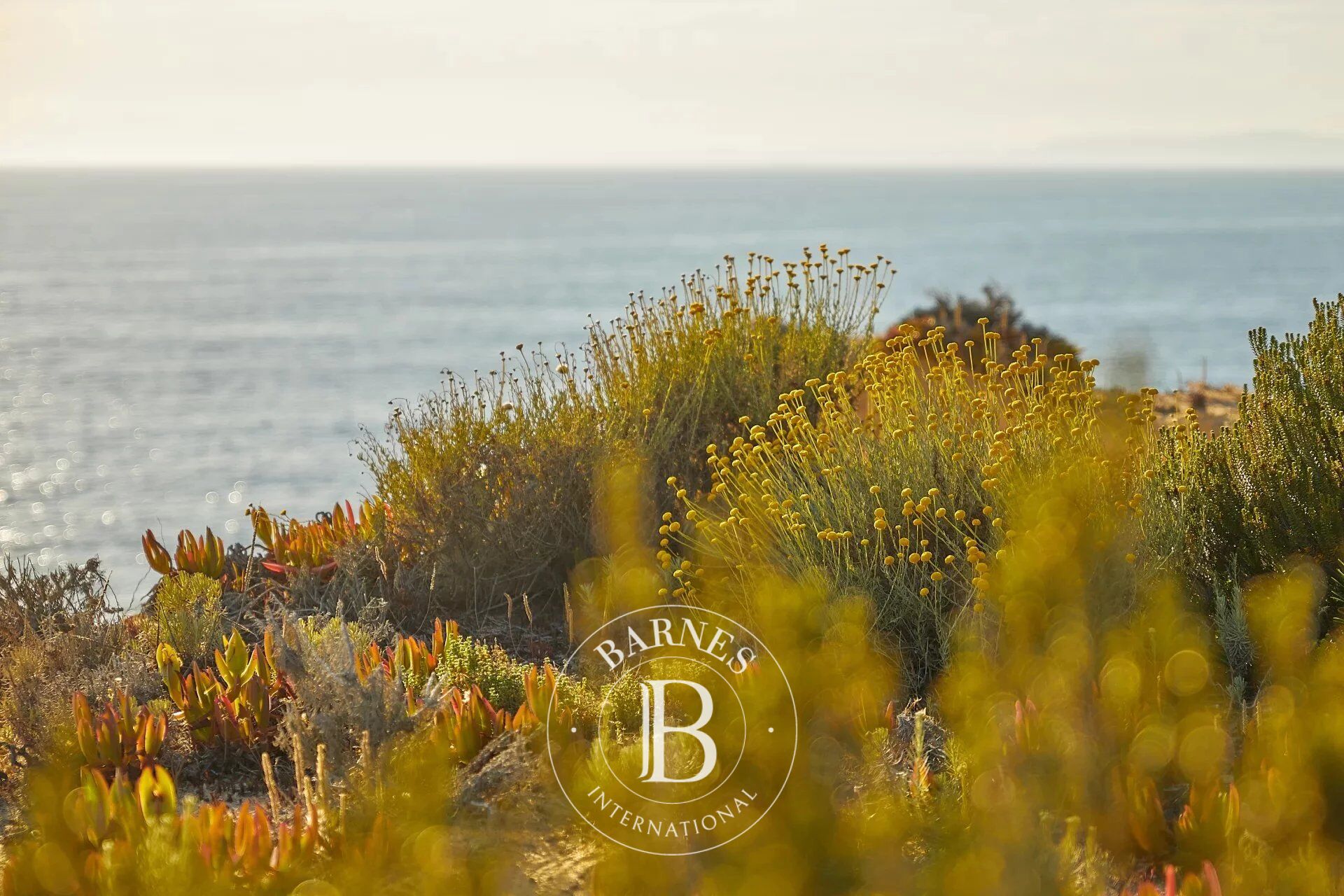 Au bord de la mer - picture 1