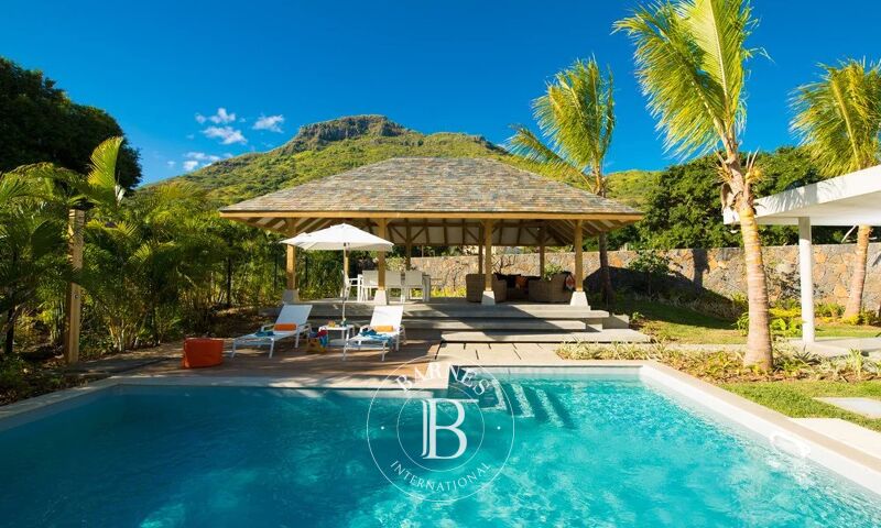 Venta, Villa Rivière Noire - picture 1