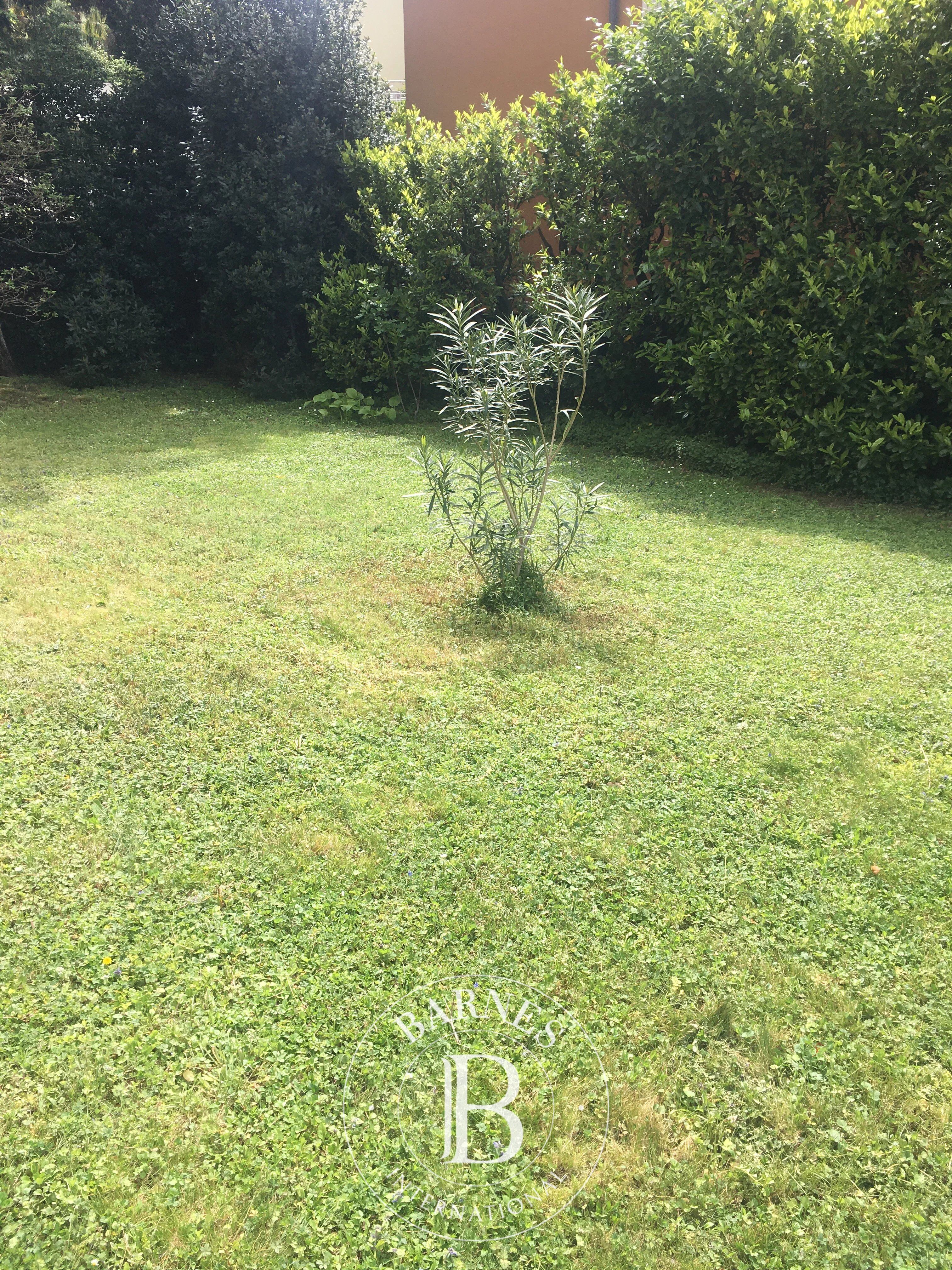 Daire Campione d'Italia