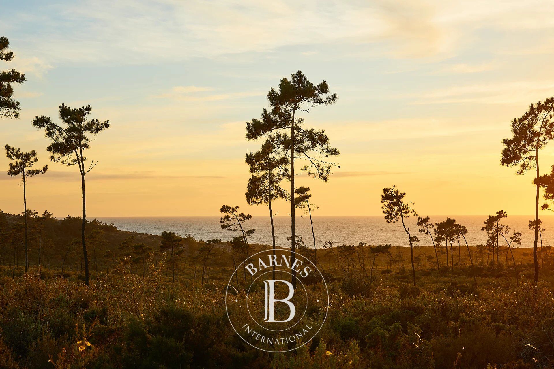 Au bord de la mer - picture 1