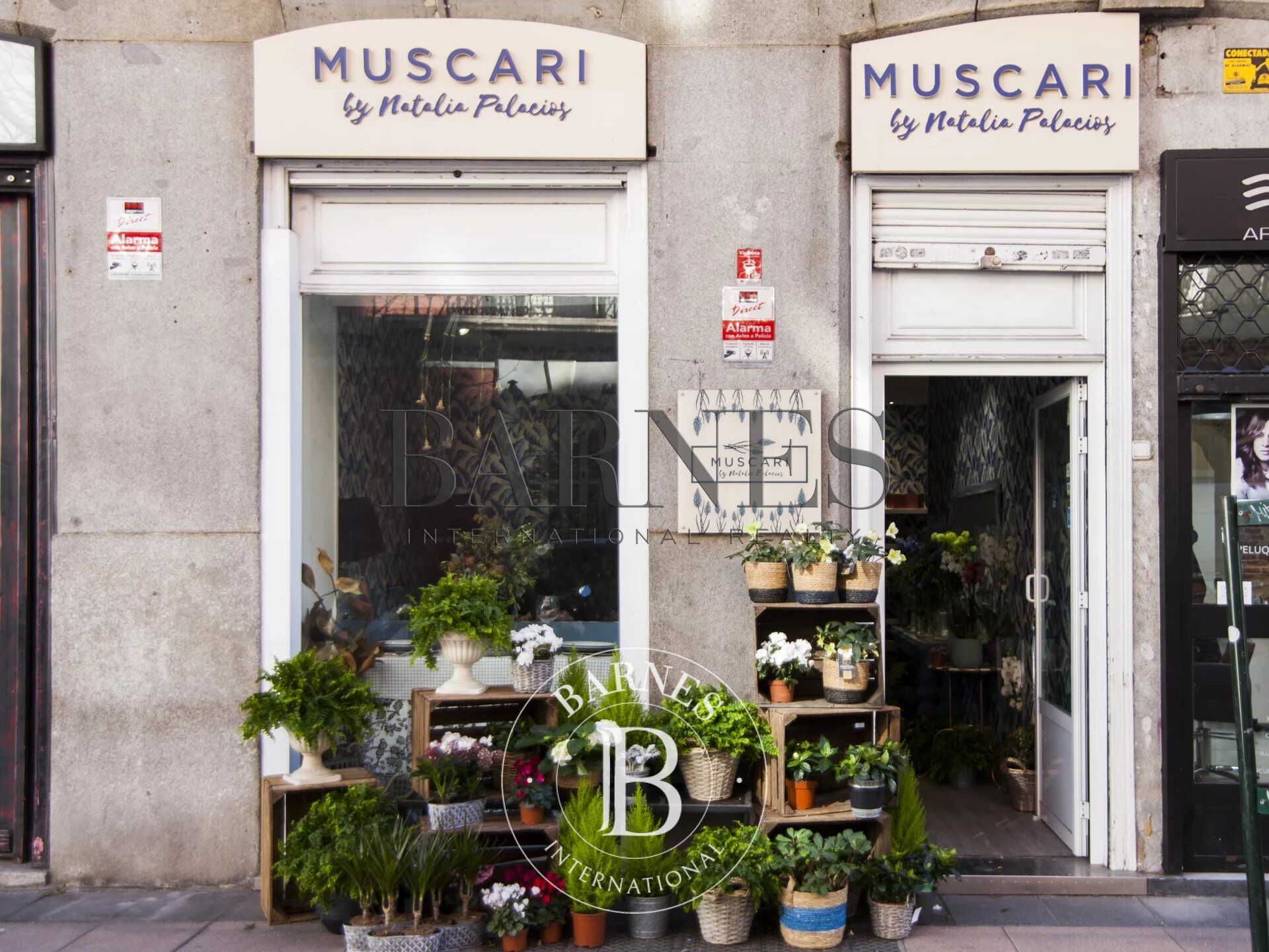 Daire Madrid - picture 33