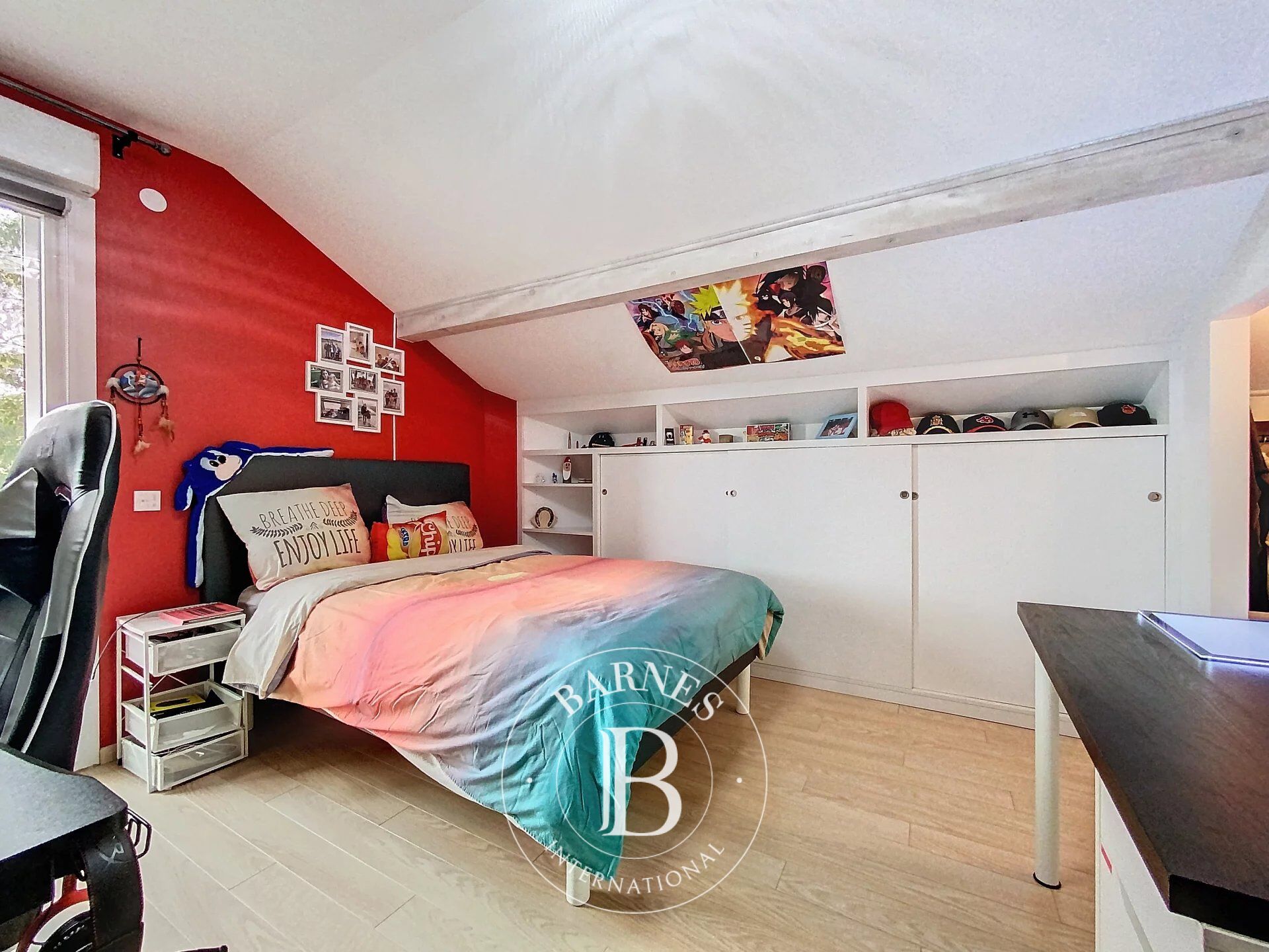 Ev Douvaine - picture 10