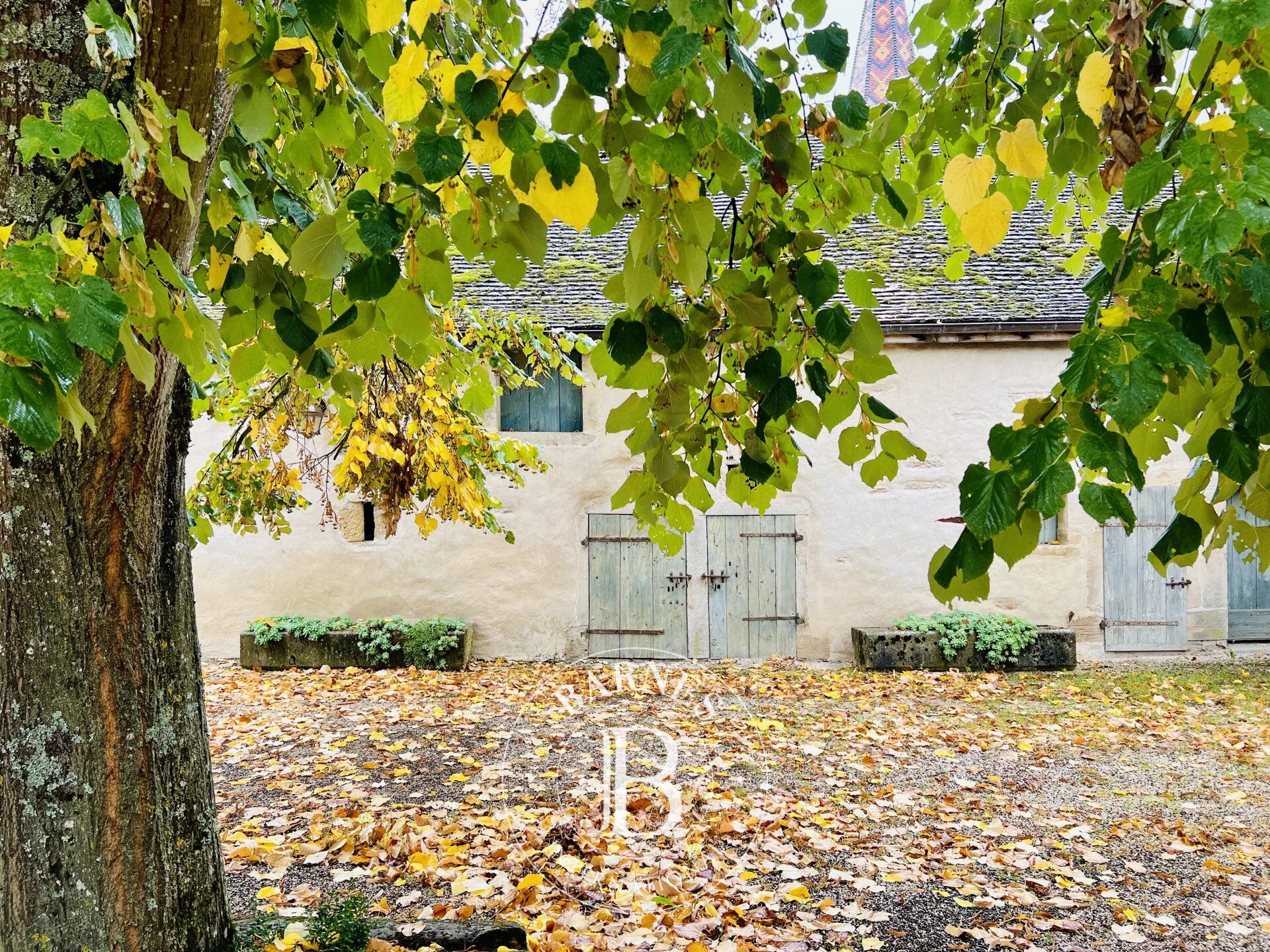 Casa Ladoix-Serrigny - picture 1