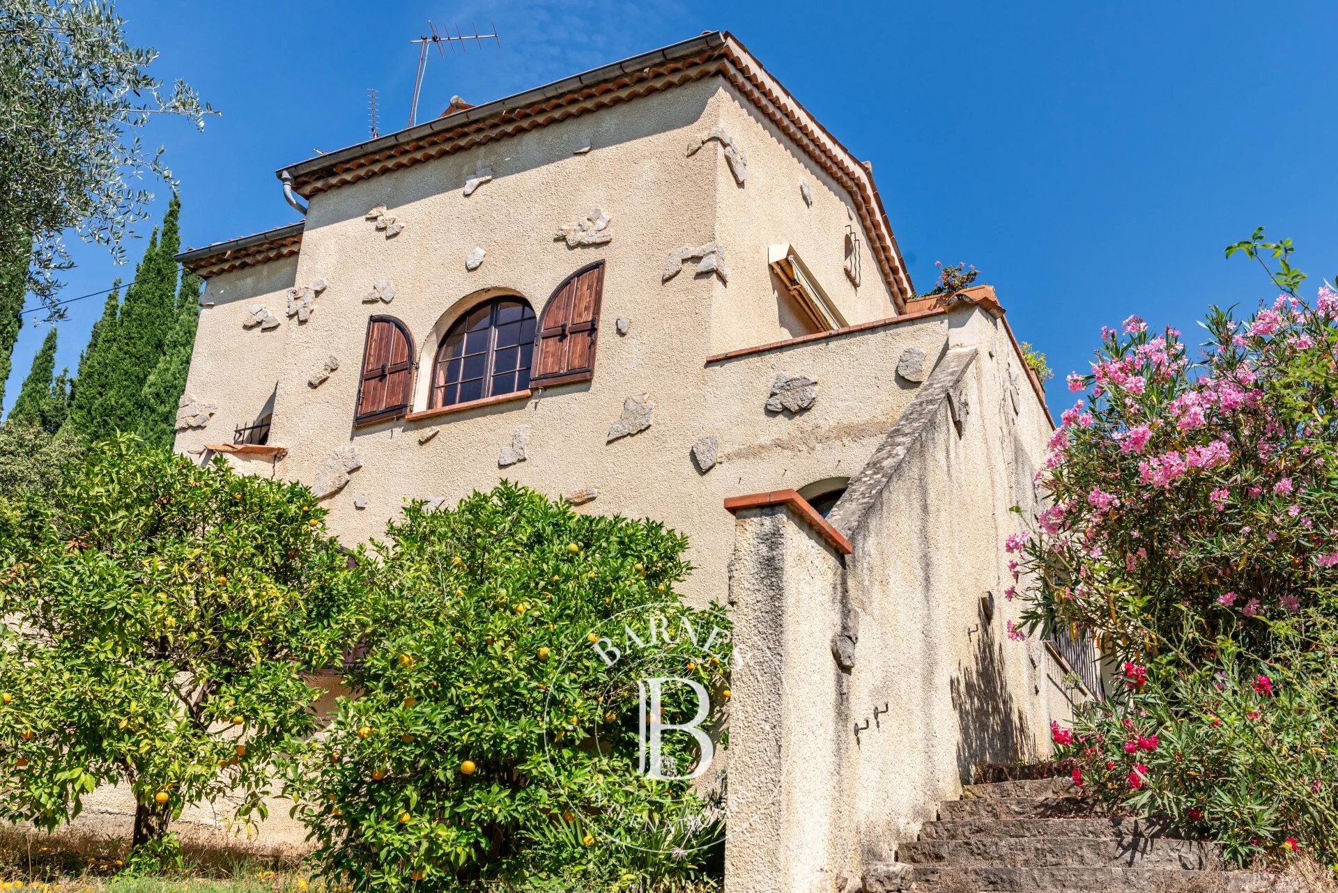 Ev Grasse - picture 8