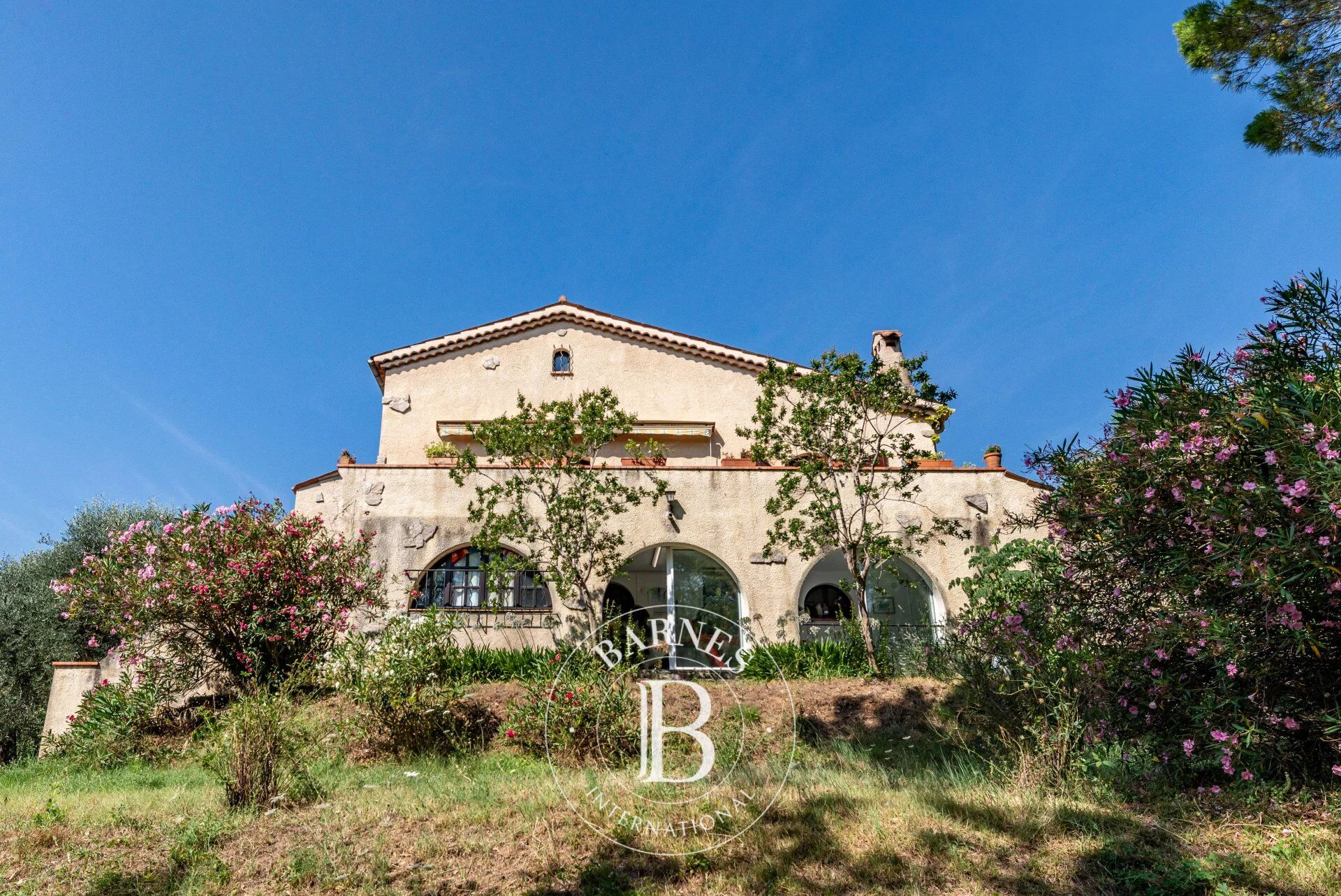 Ev Grasse - picture 11