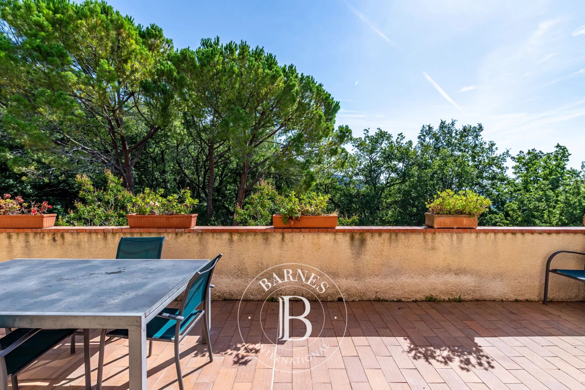 Ev Grasse - picture 6