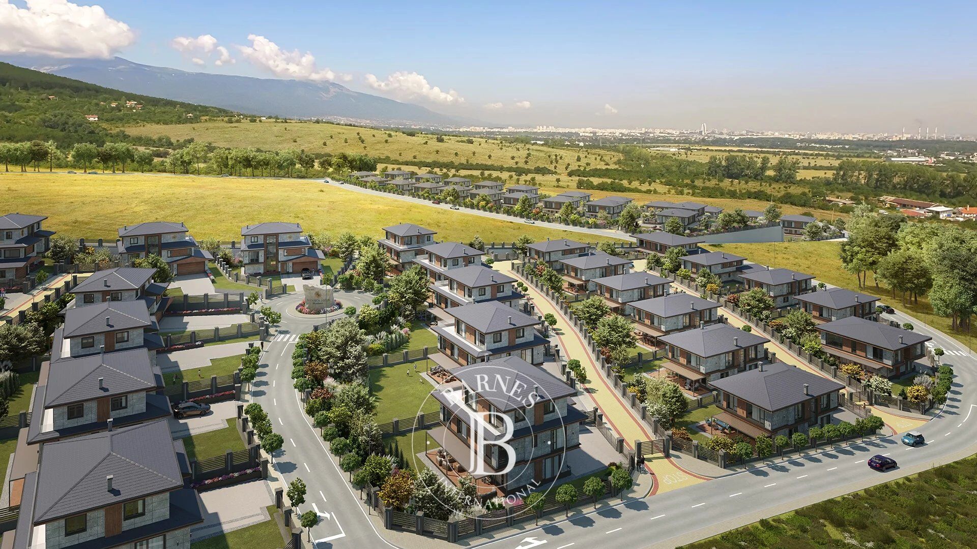 Ev Lozen - picture 4