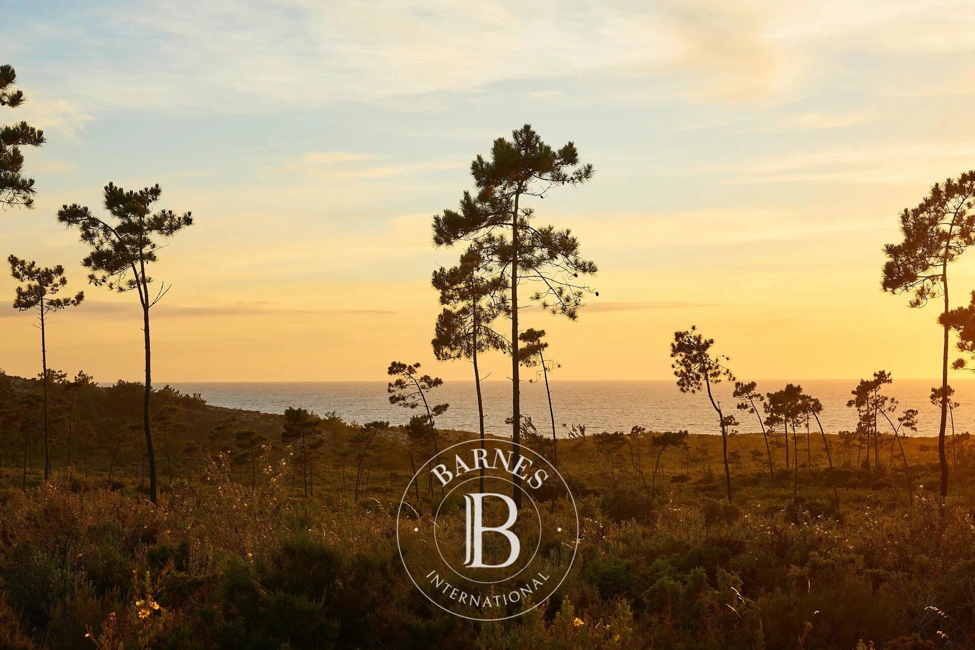 Au bord de la mer - picture 3