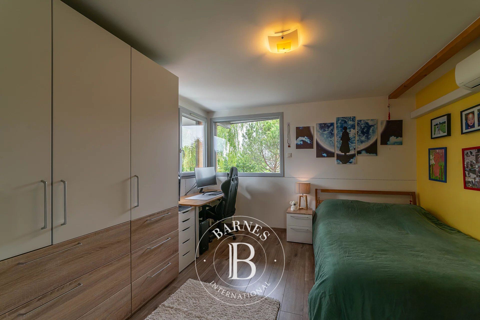 Ev Thonon-les-Bains - picture 9