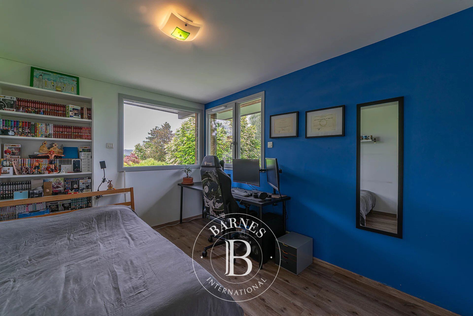 Ev Thonon-les-Bains - picture 10