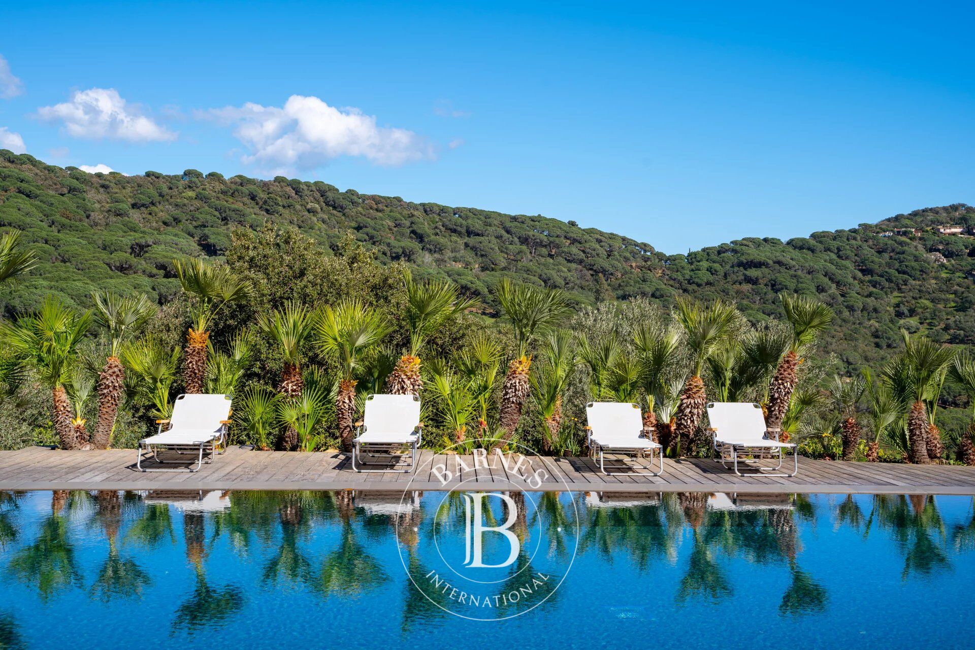 LA CROIX-VALMER - SEA VIEW - 5 BEDROOMS - BAR - SWIMMING POOL - picture 3