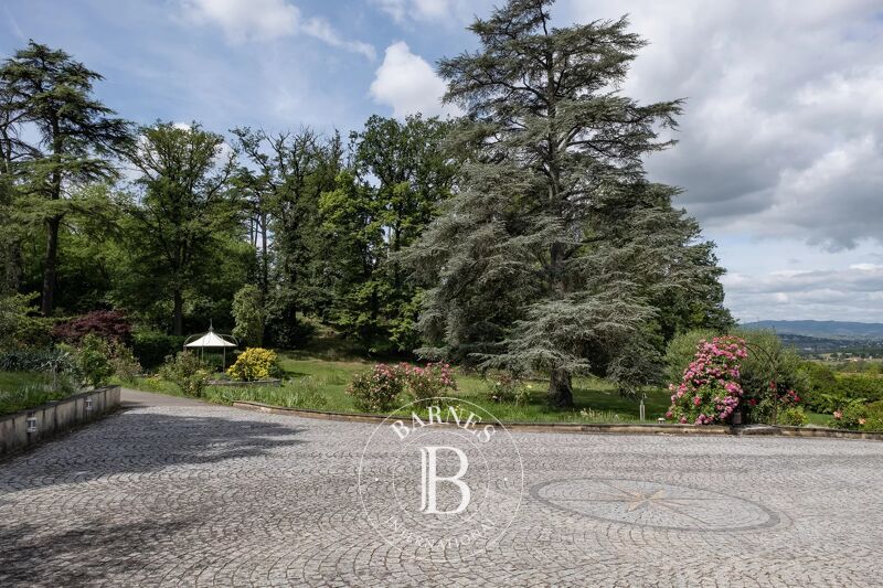 For Sale, House Saint-Didier-de-Formans - picture 3