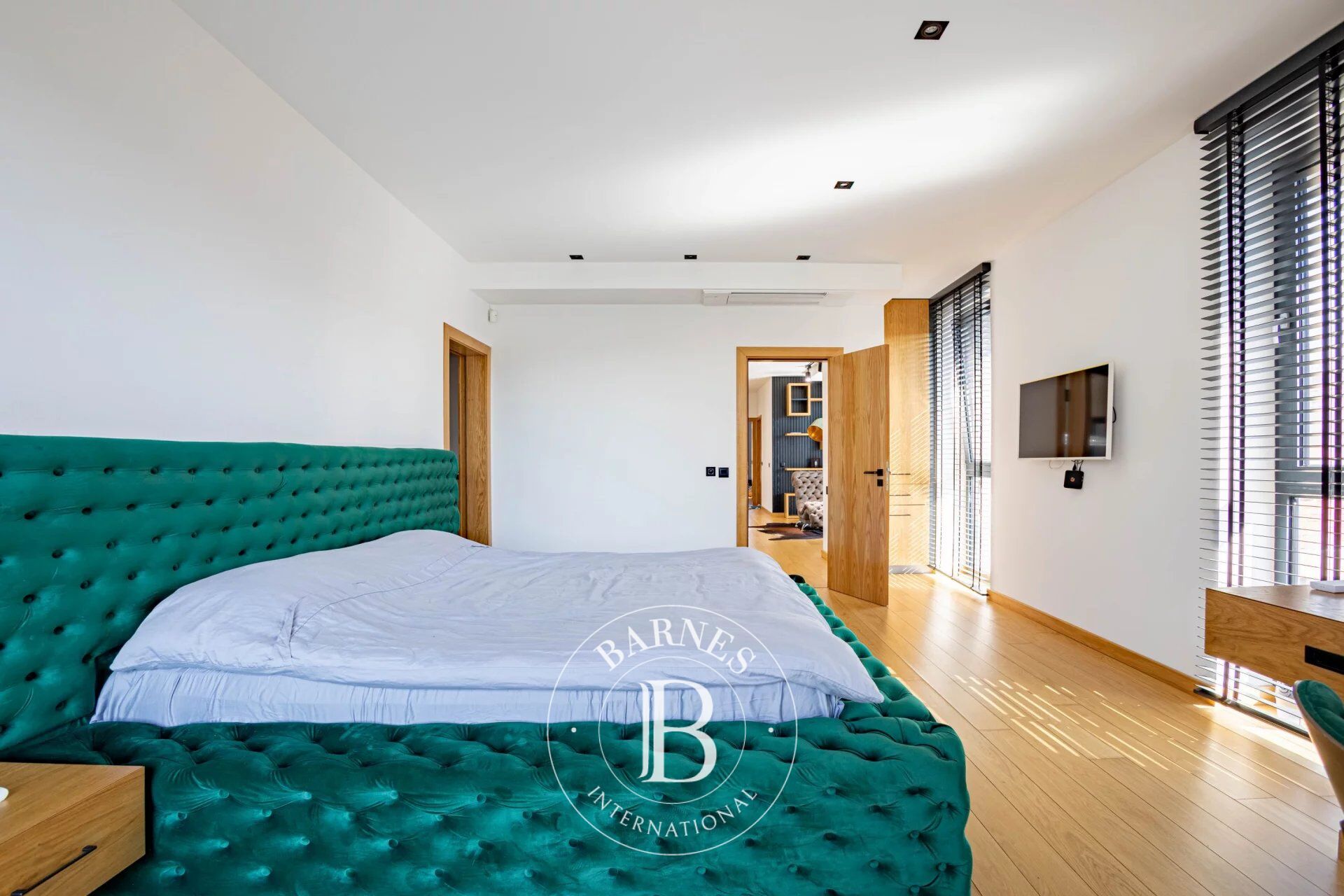 Ev Trud - picture 20