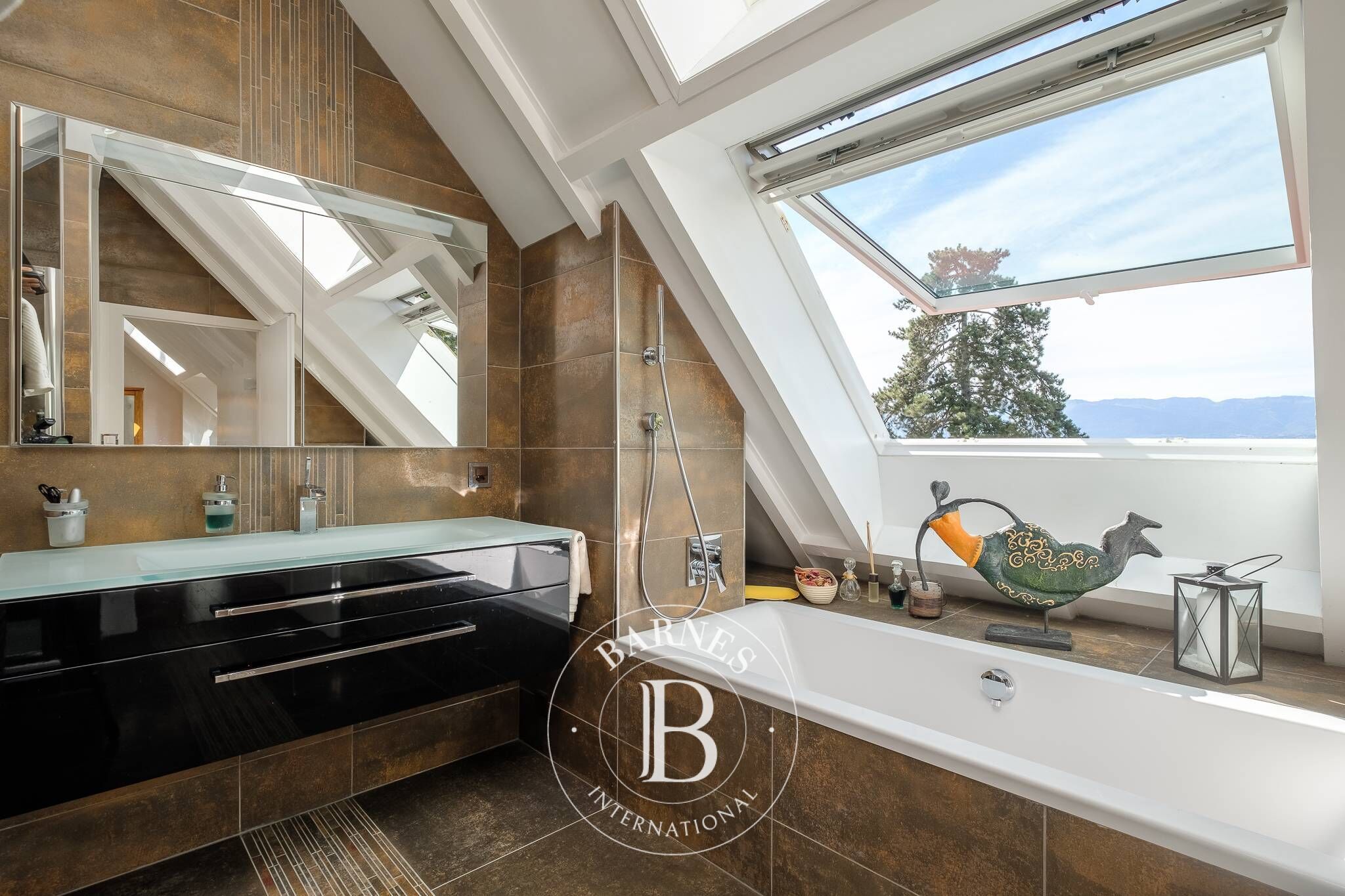 Villa Corsier - picture 4