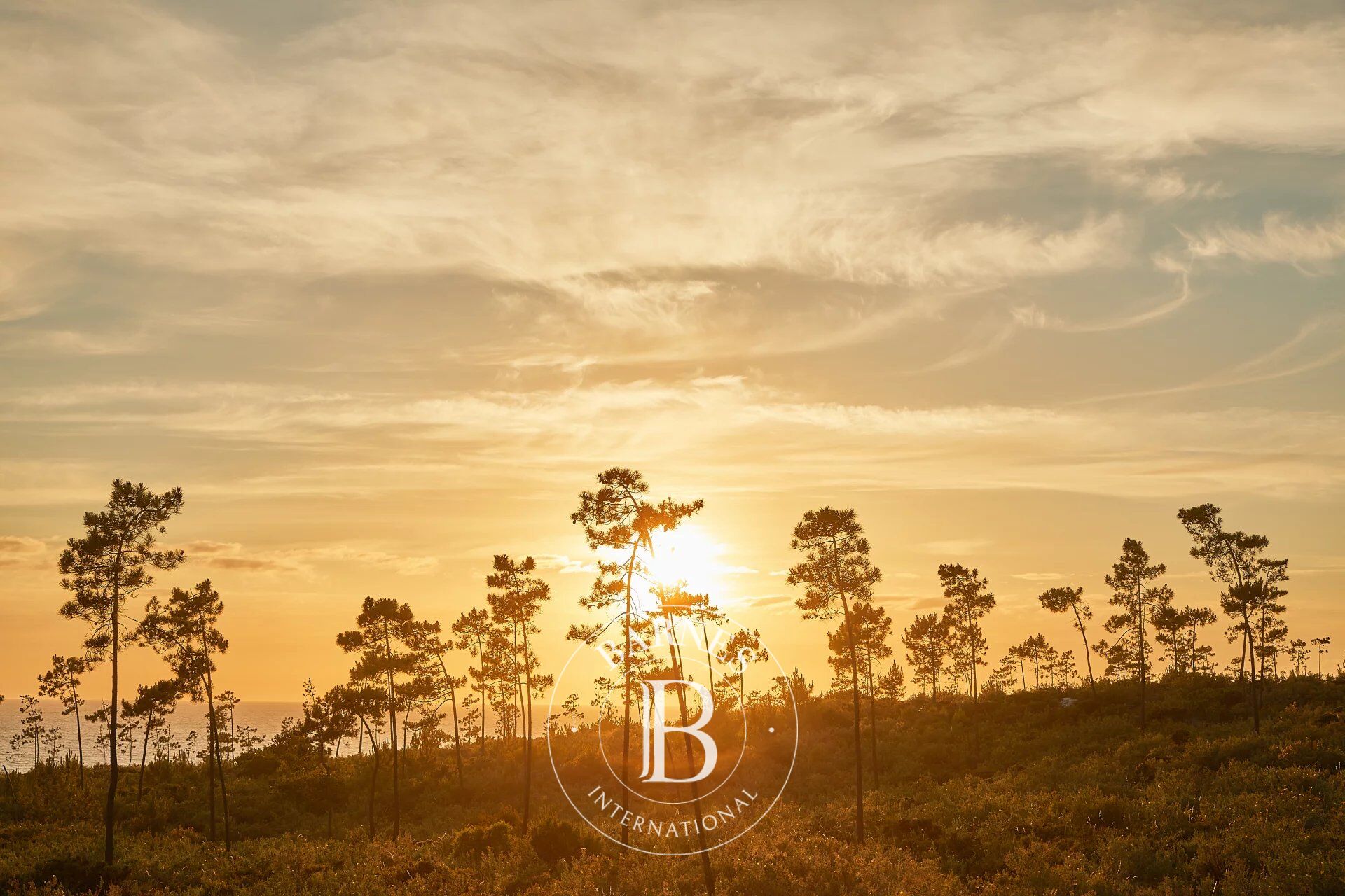 Maison d´Été à Melides - picture 3