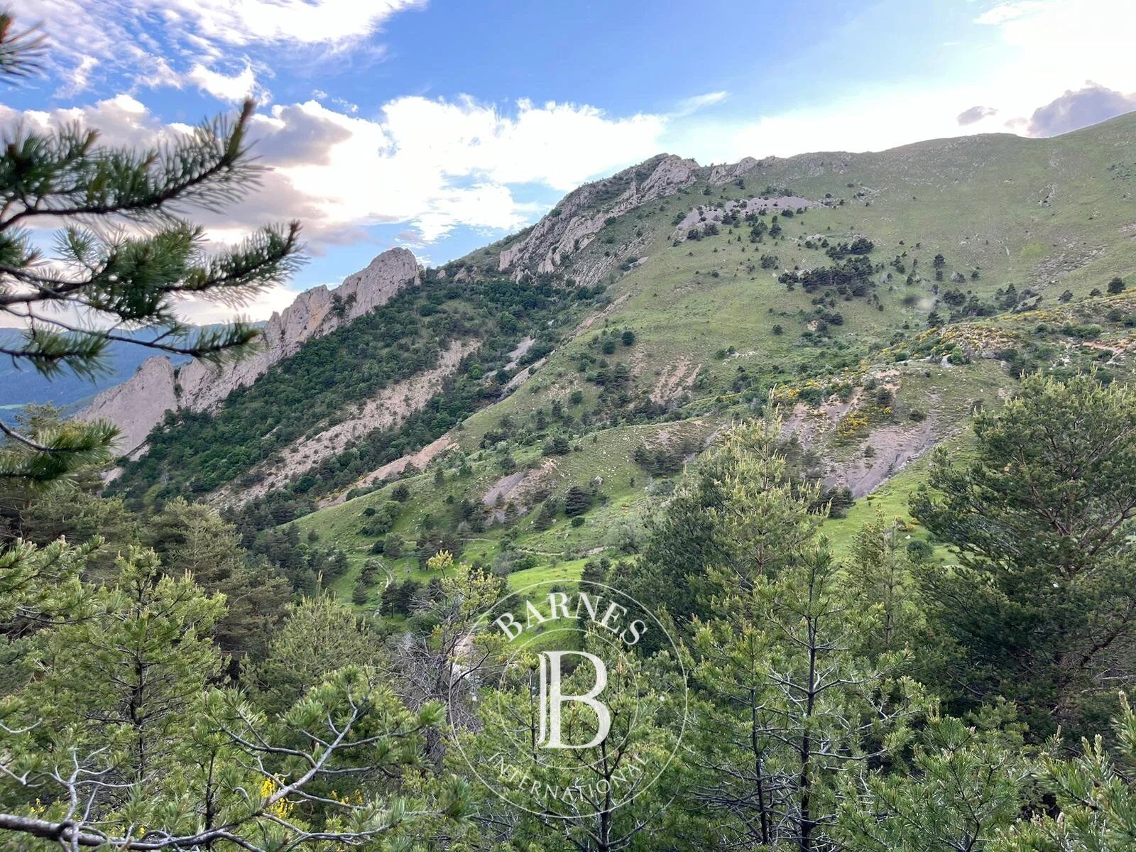 Riserva di caccia Tartonne - picture 3