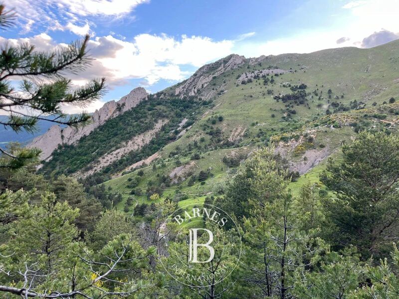 Vendita, Riserva di caccia Tartonne - picture 3