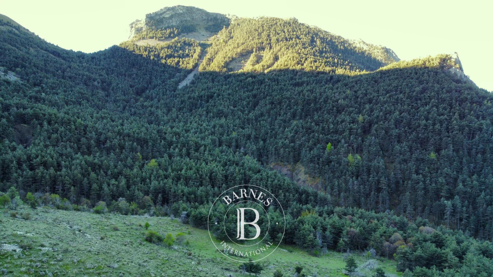 Riserva di caccia Tartonne - picture 2