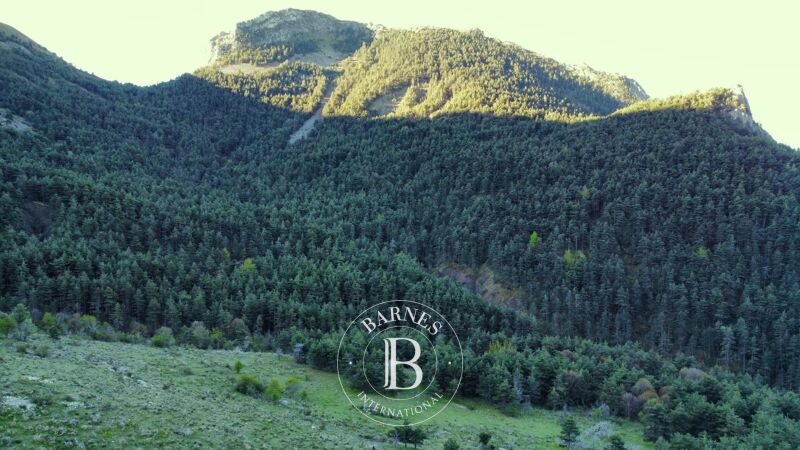 Vendita, Riserva di caccia Tartonne - picture 2