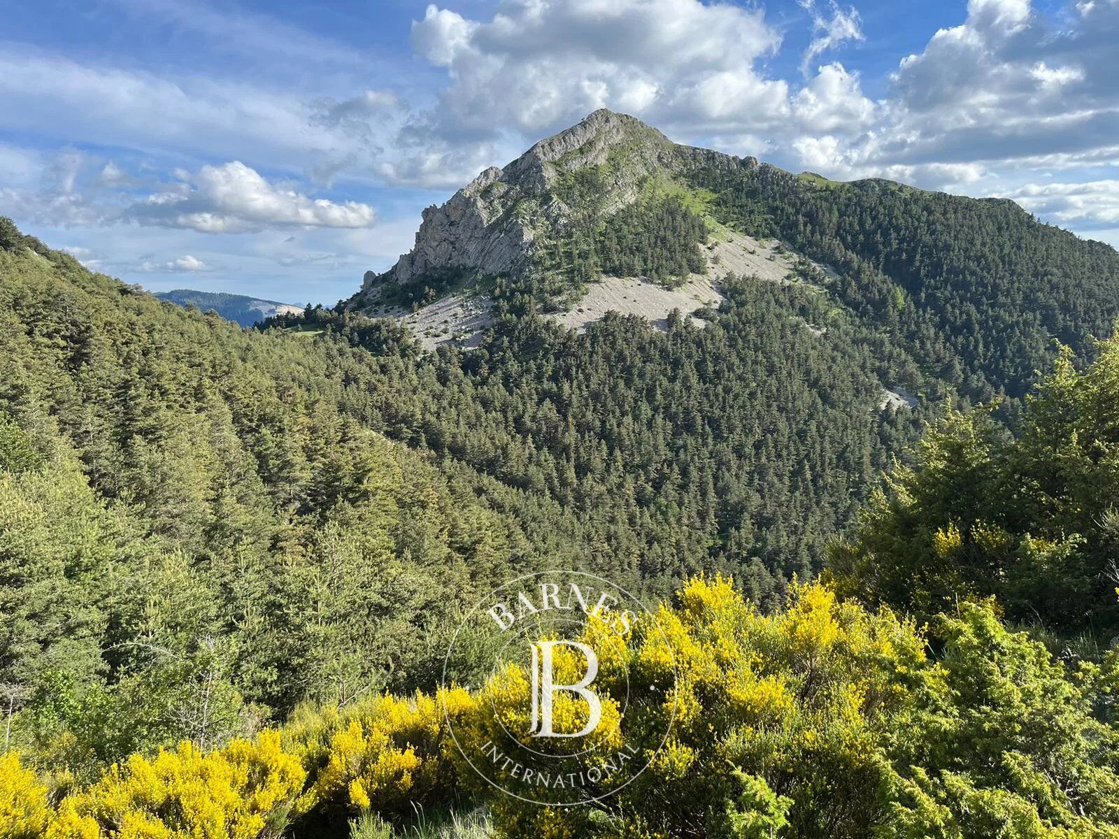 Riserva di caccia Tartonne - picture 1