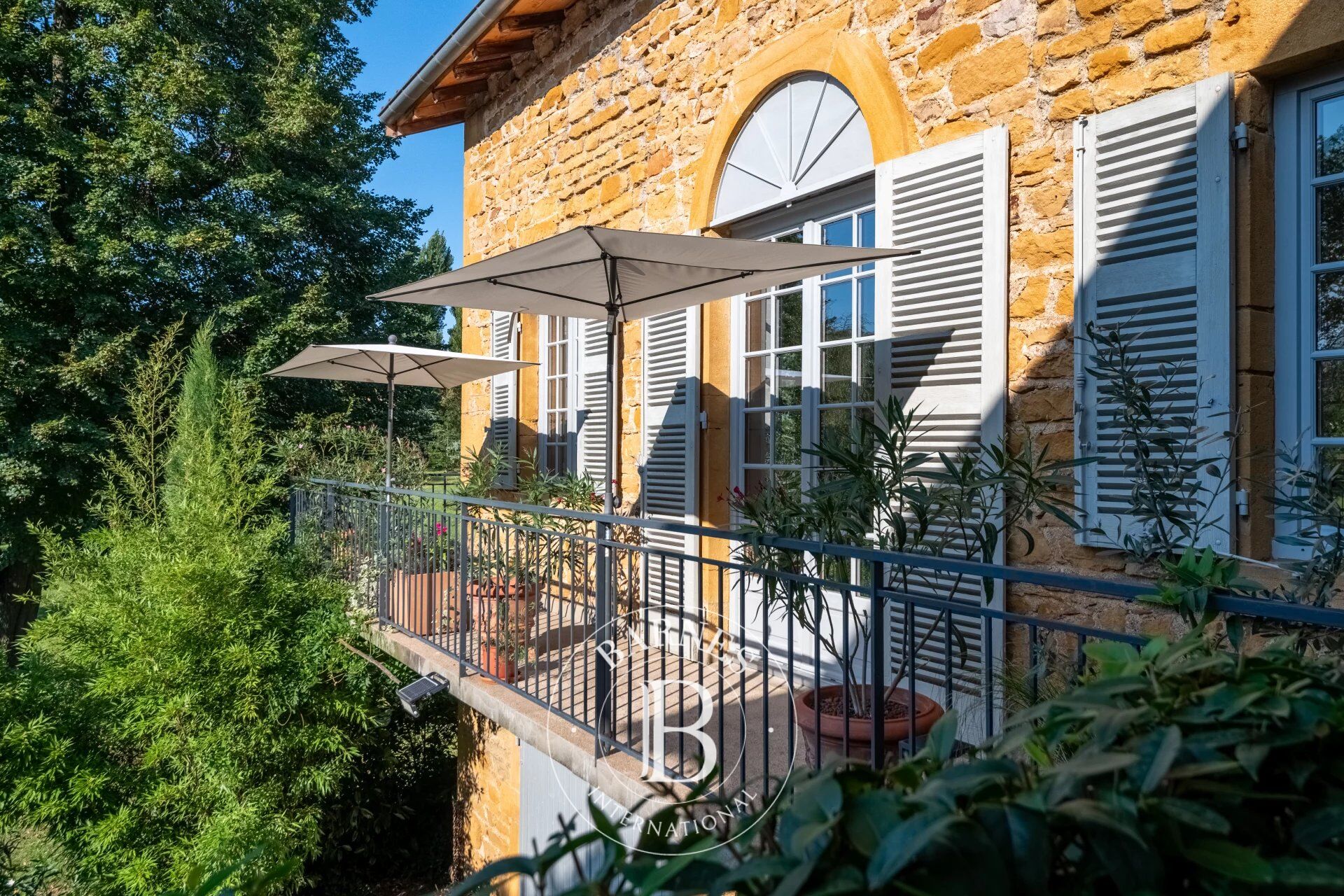 Casa Bully - picture 3