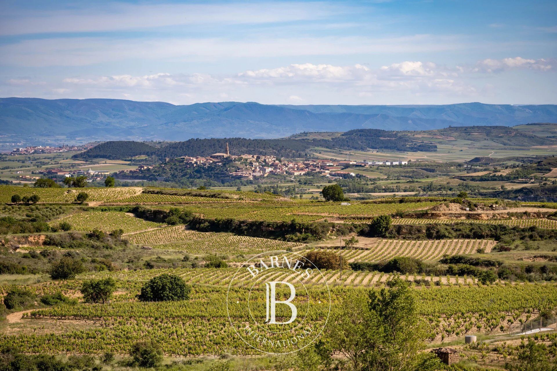 Mülkiyet Labastida - picture 10