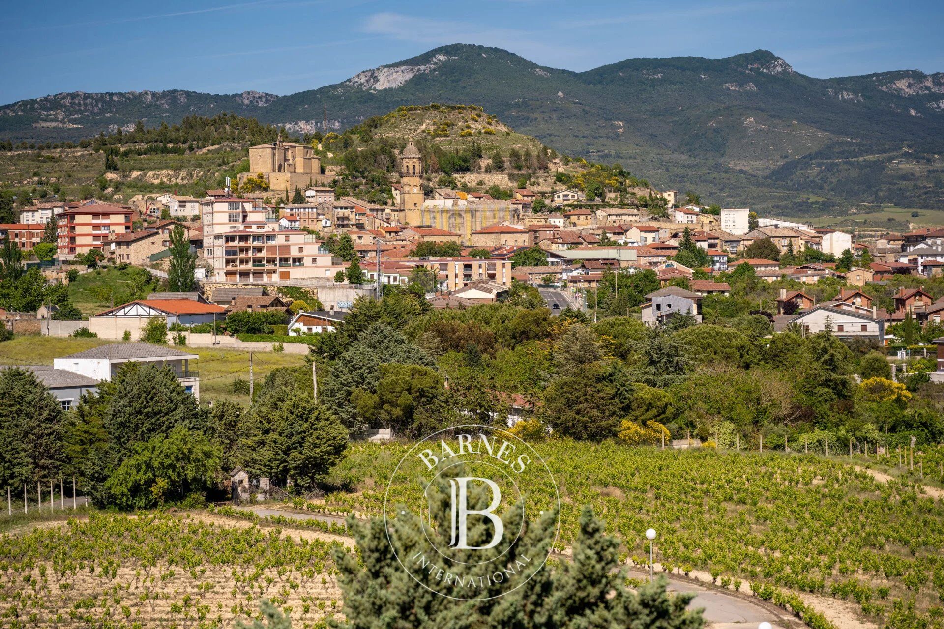 Mülkiyet Labastida - picture 12