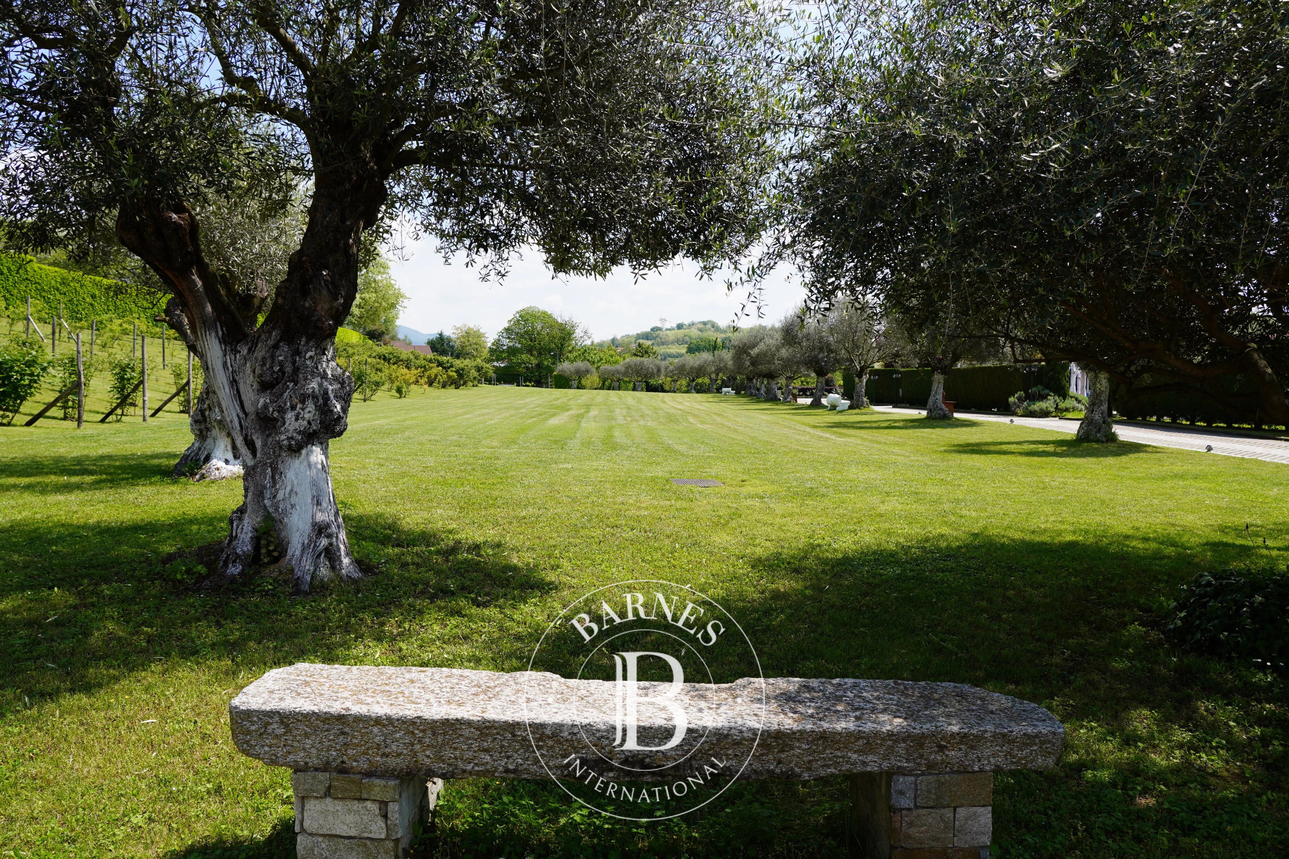 Otel Malgesso - picture 19