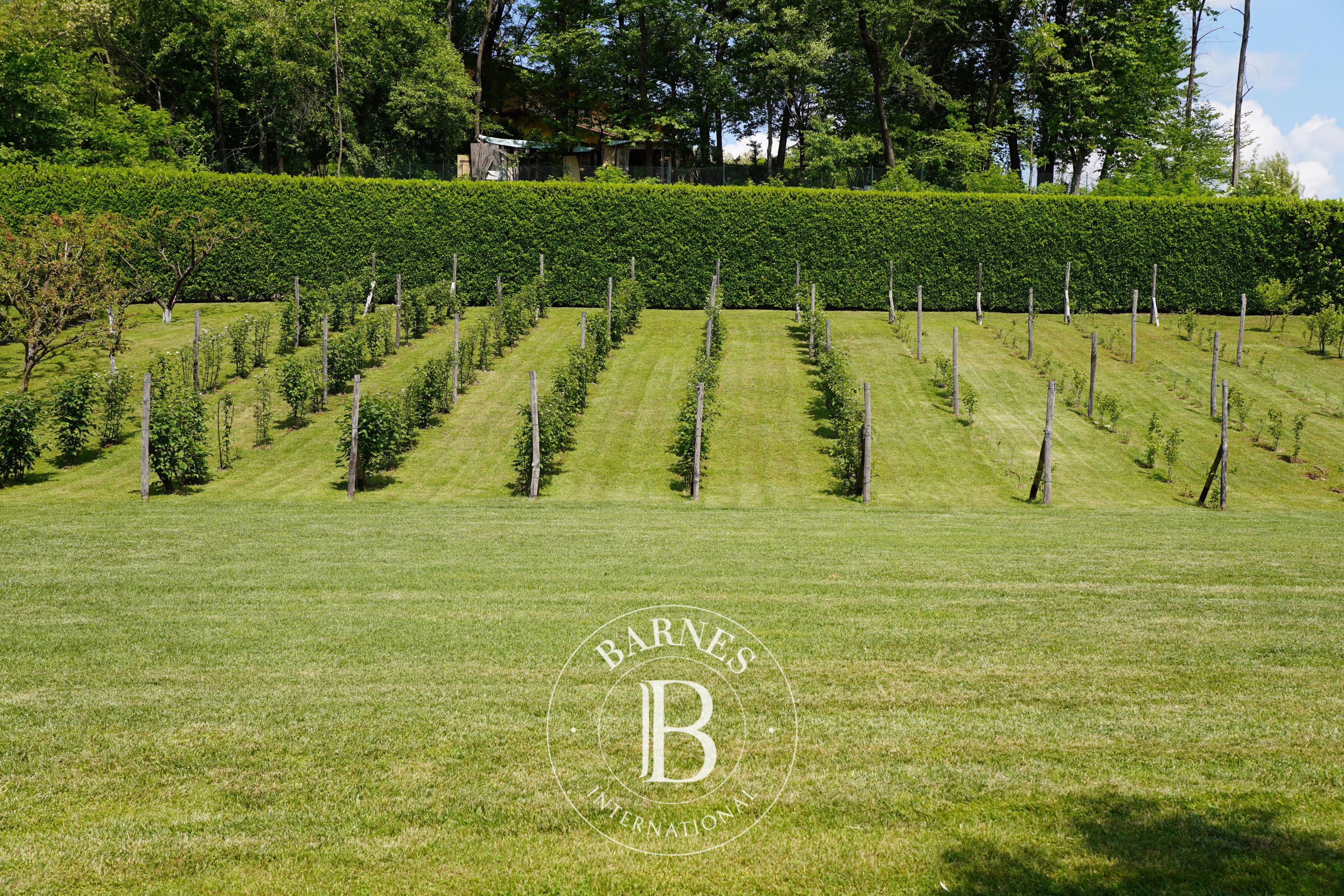 Otel Malgesso - picture 18