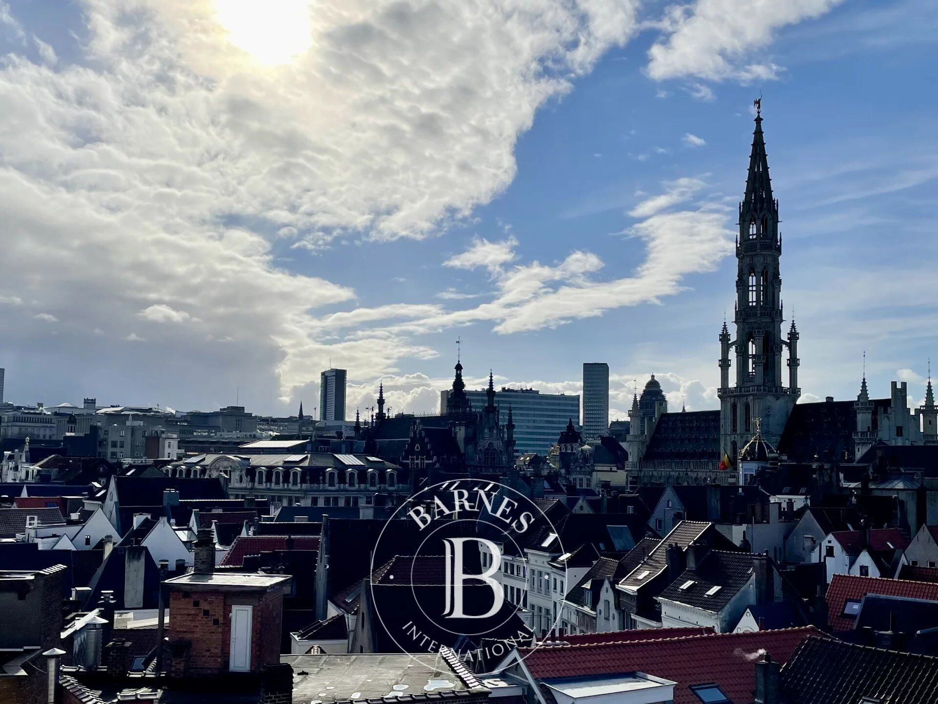 Daire Bruxelles - picture 5